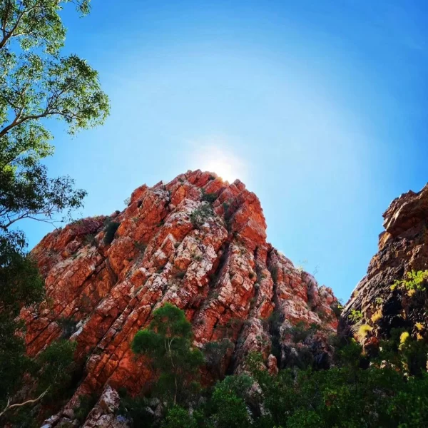 tour uluru from alice springs