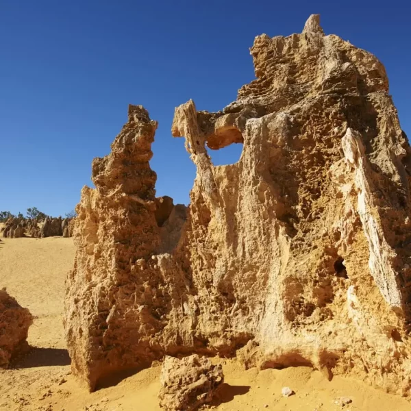 pinnacle tours