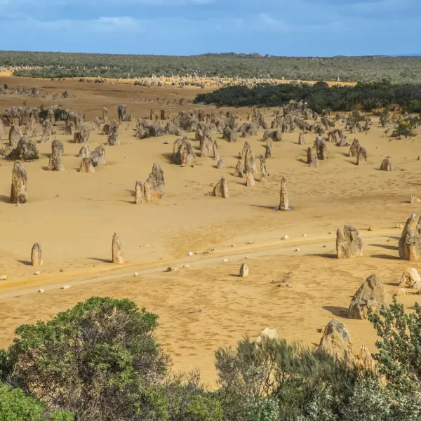 pinnacle tours perth